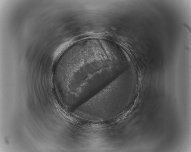 X0000101970149200808011138