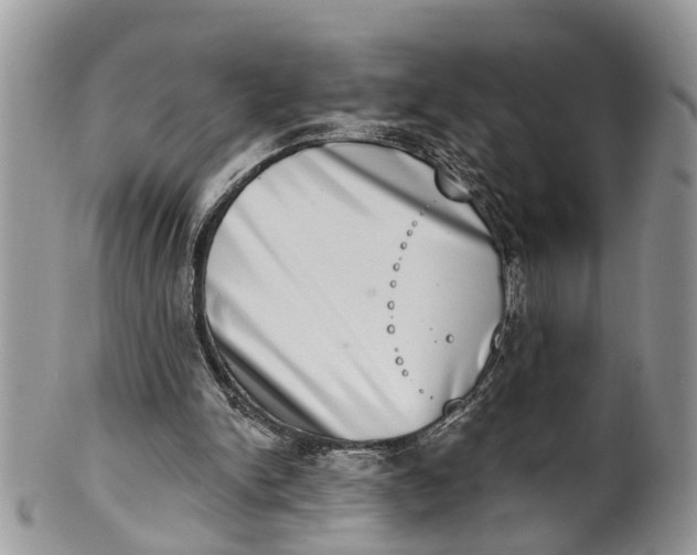 X0000101970150200808011138