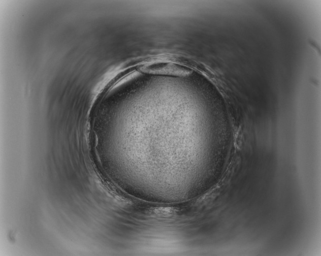 X0000101970152200808011138