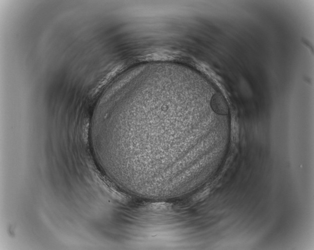 X0000101970153200808011138