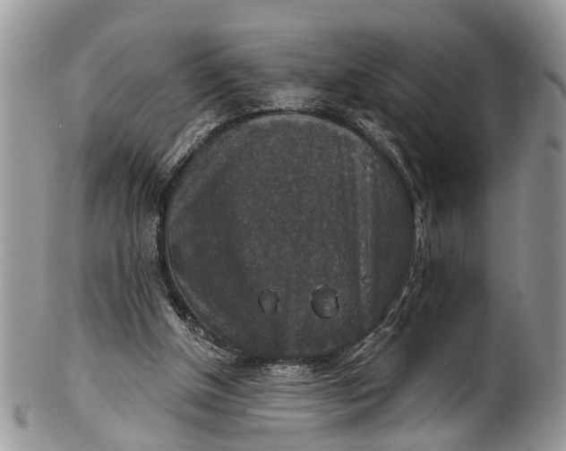X0000101970154200808011138
