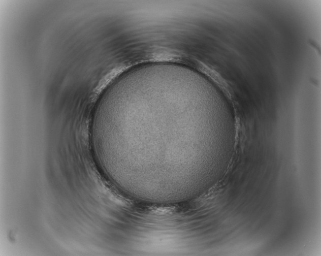 X0000101970155200808011138