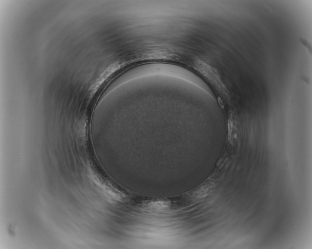 X0000101970156200808011138