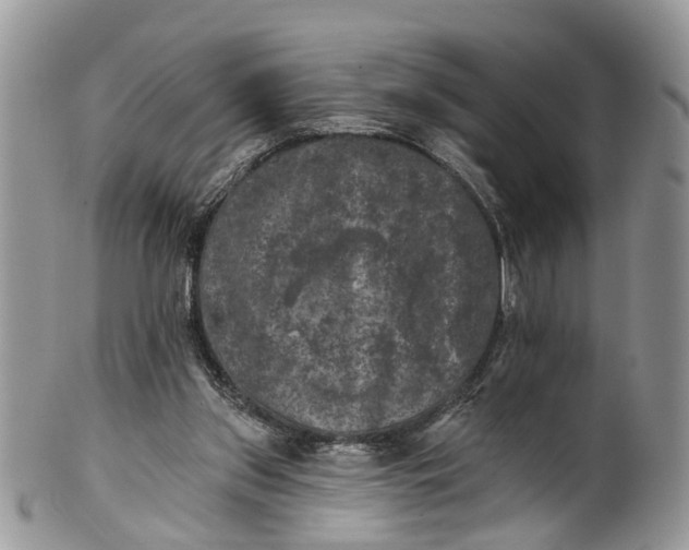 X0000101970157200808011138