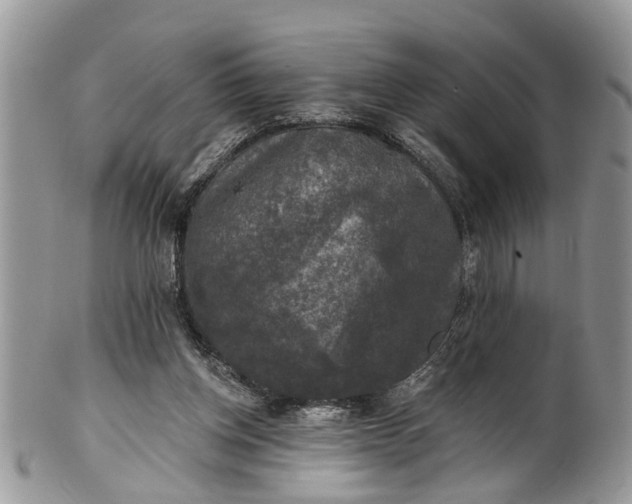 X0000101970158200808011138