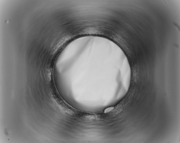 X0000101970160200808011138