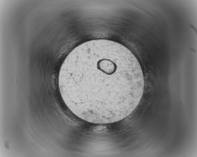 X0000101970162200808011139
