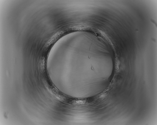 X0000101970163200808011139