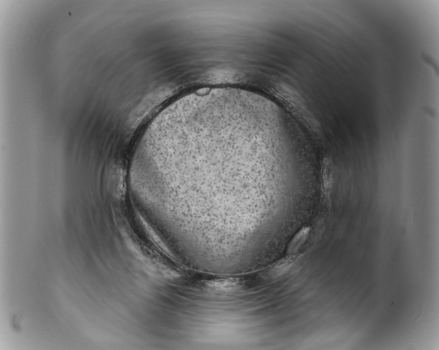 X0000101970164200808011139