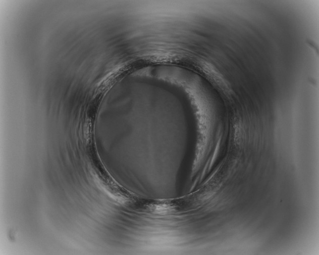 X0000101970165200808011139
