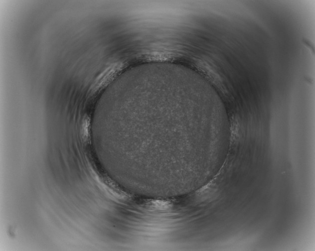 X0000101970166200808011139
