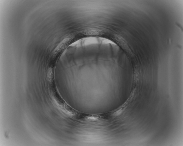 X0000101970167200808011139