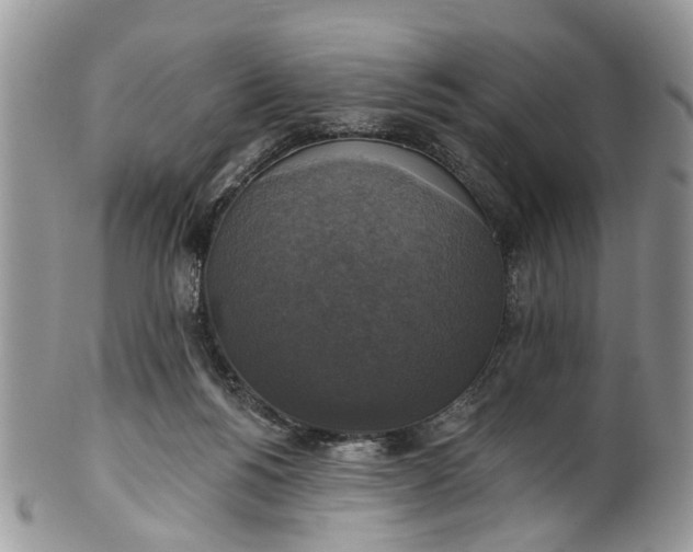 X0000101970168200808011139
