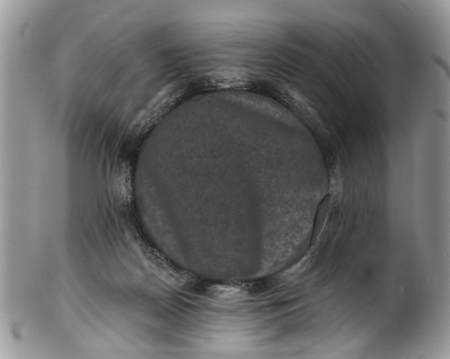 X0000101970170200808011139