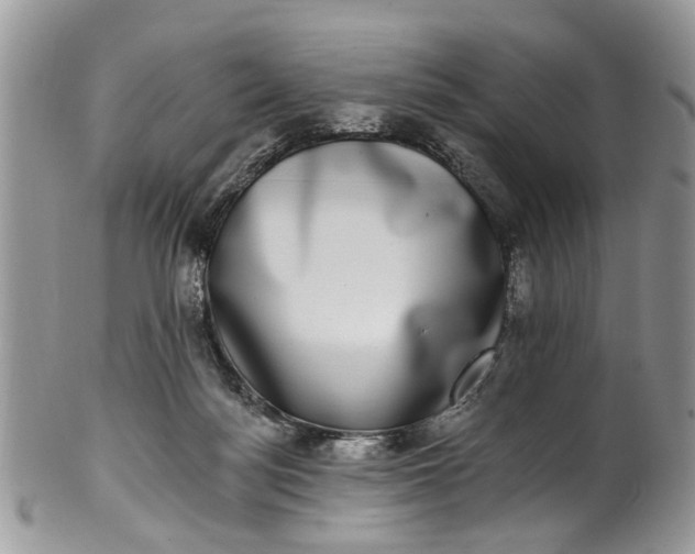 X0000101970172200808011139