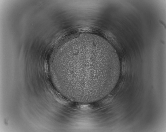 X0000101970173200808011139