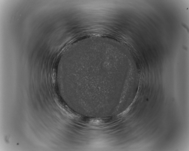 X0000101970174200808011139