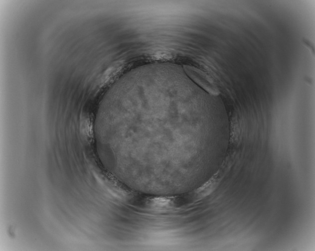 X0000101970176200808011139