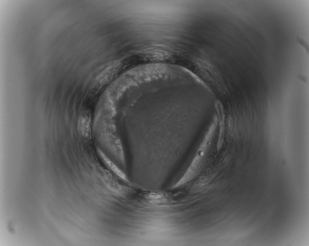 X0000101970177200808011139