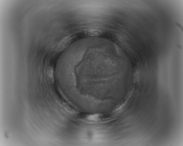 X0000101970178200808011139