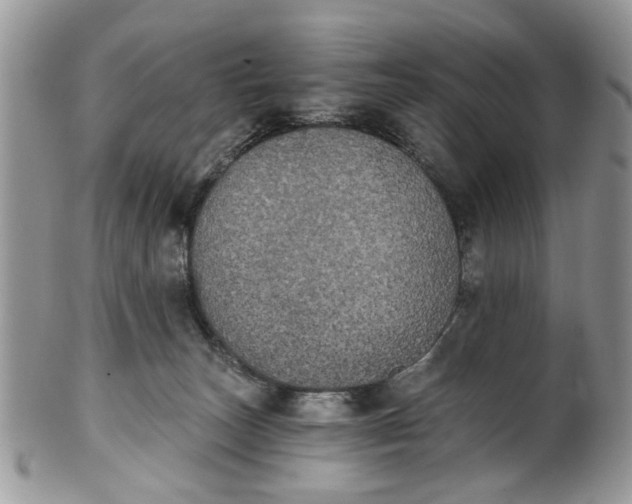 X0000101970179200808011139