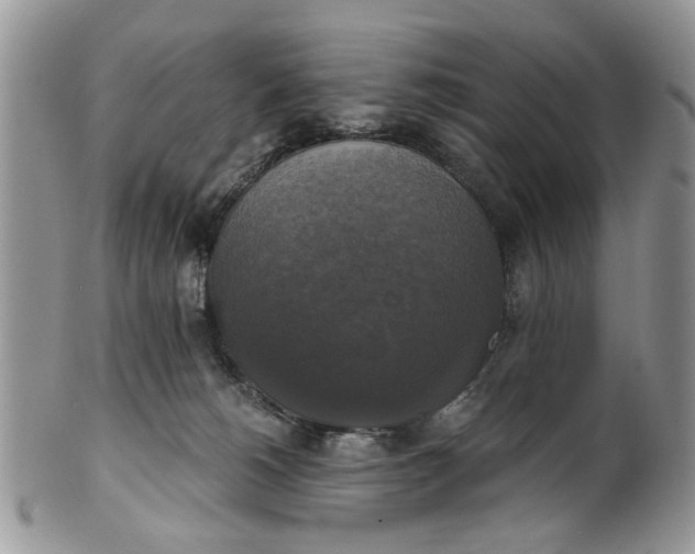X0000101970180200808011139