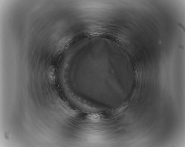 X0000101970181200808011139