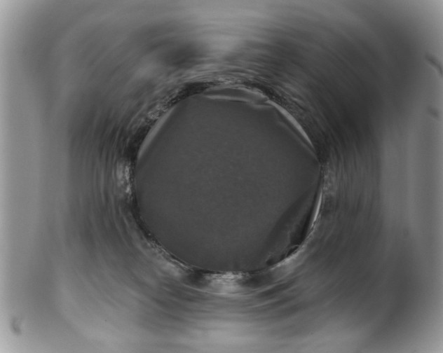 X0000101970182200808011139