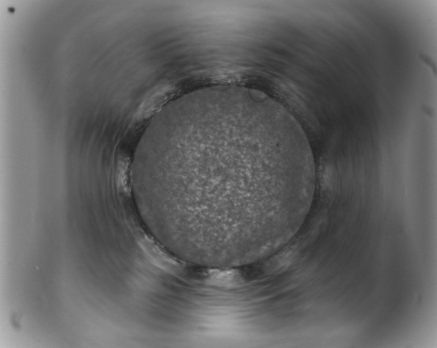 X0000101970185200808011139