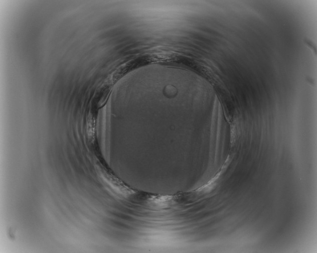 X0000101970186200808011139