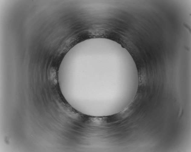 X0000101970187200808011139