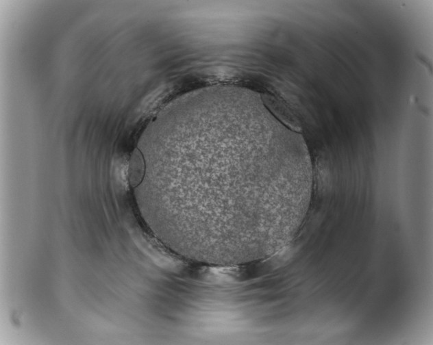 X0000101970188200808011139