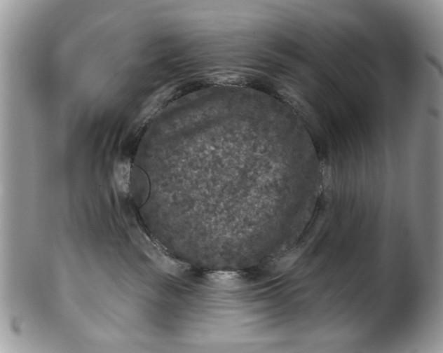 X0000101970189200808011139