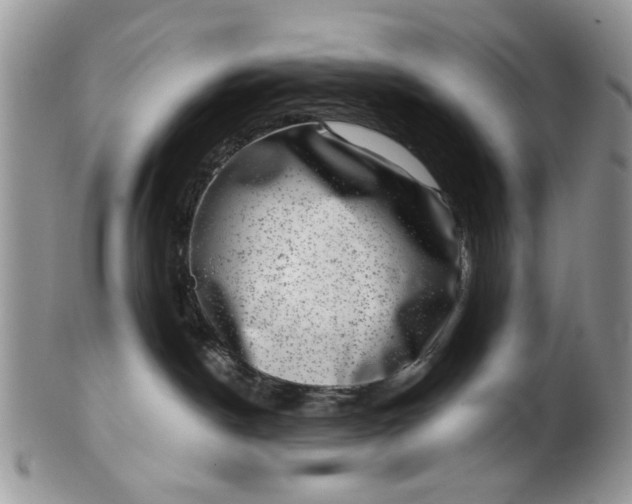 X0000101970190200808011139