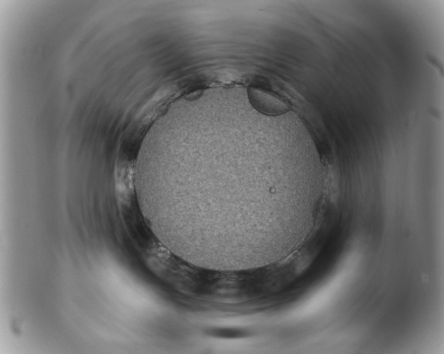 X0000101970191200808011139