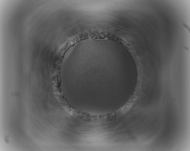 X0000101970192200808011139