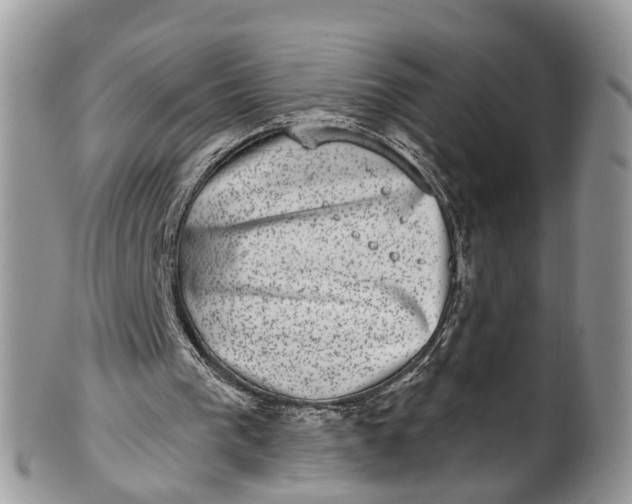 X0000101970193200808011138