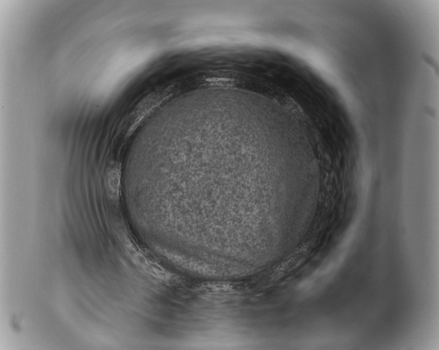 X0000101970194200808011138