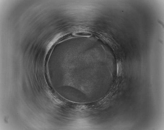 X0000101970195200808011138