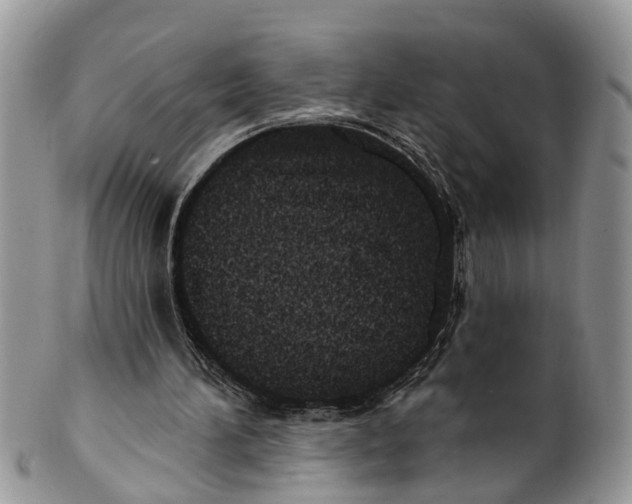 X0000101970196200808011138