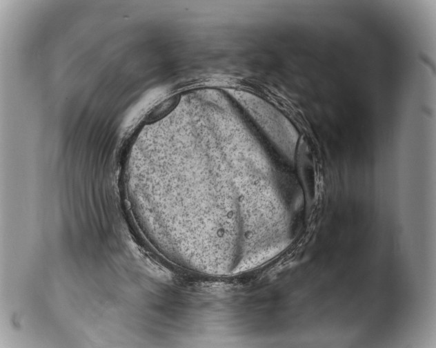 X0000101970197200808011138