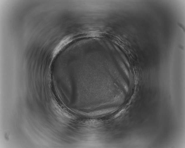 X0000101970198200808011138