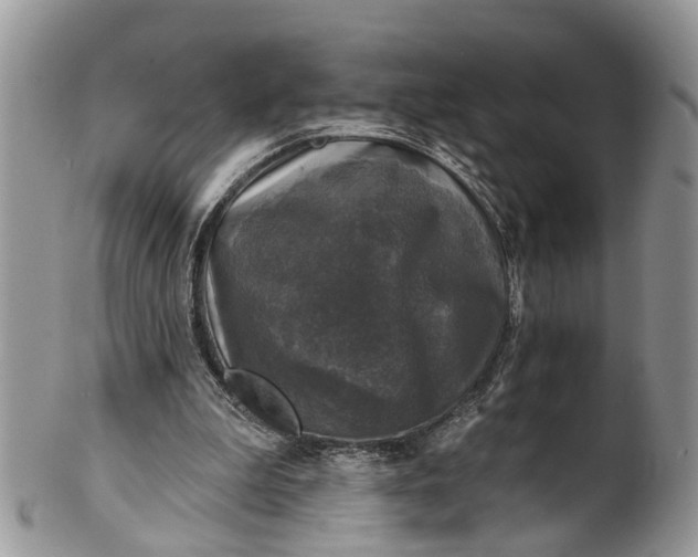 X0000101970199200808011138