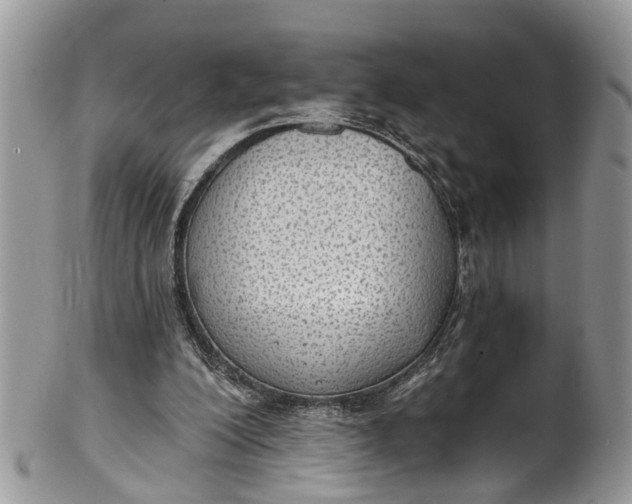 X0000101970200200808011138