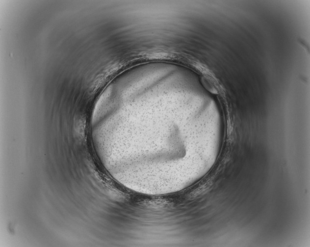 X0000101970201200808011138