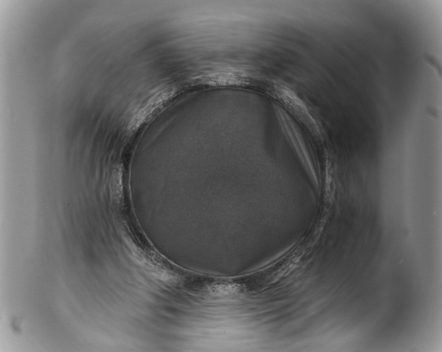 X0000101970202200808011138