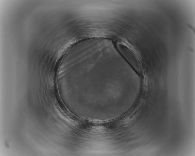 X0000101970203200808011138