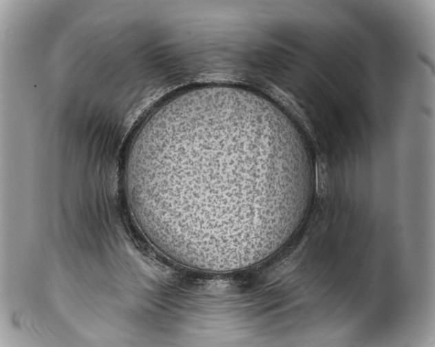 X0000101970204200808011138
