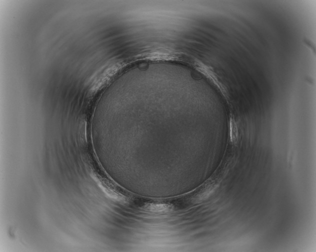 X0000101970205200808011138