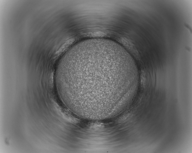 X0000101970206200808011138